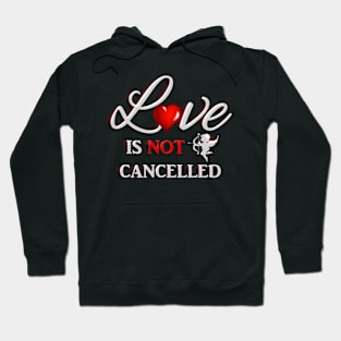 Happy Valentine's Day Love is Not Cancelled Hoodie